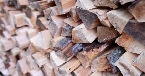 Brennholz Auf Wandhintergrund Aus Trockenem Gehäckseltem Brennholz Haufen Brennholz Für — Stockvideo