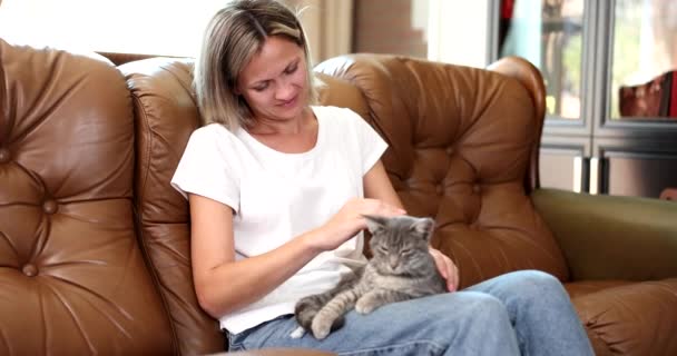 Mujer Mascotas Gato Gris Sofá Sala Estar Pequeños Mejores Amigos — Vídeos de Stock