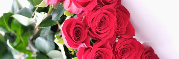 Прекрасный Букет Красных Роз Лежит Белом Фоне Концепция Ароматных Розовых — стоковое фото