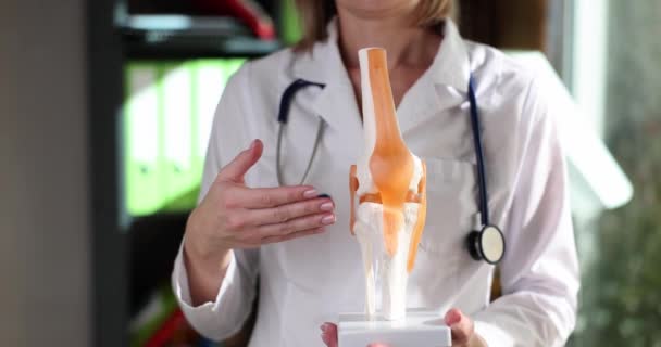 Ортопедичний Лікар Який Вказує Модель Анатомії Колінного Суглоба Концепція Фізіотерапії — стокове відео