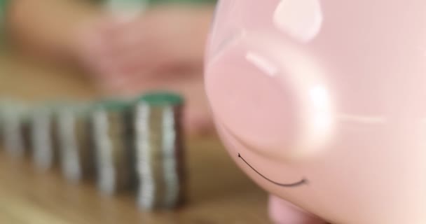동전이 테이블에는 돼지가 수익성 저축에 투자함 — 비디오