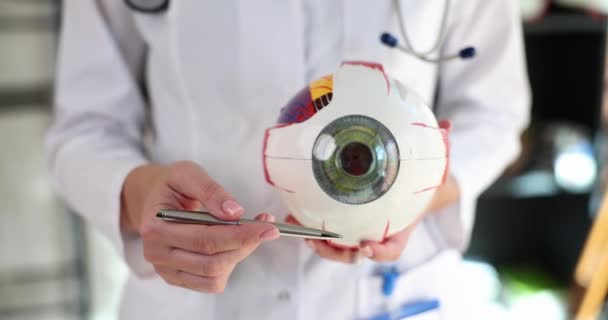 Γιατρός Οφθαλμίατρος Δείχνει Δομή Στυλό Του Ματιού Ανατομικό Μοντέλο Closeup — Αρχείο Βίντεο