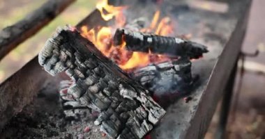 Yakacak odun, et pişirmek için kömür elde etmek için Brezilya 'da yakılır. Izgara alevi konsepti