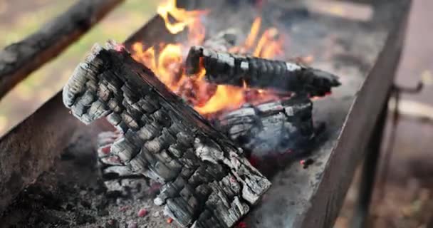Brennholz Wird Kohlenbecken Verbrannt Kohlen Zum Kochen Von Fleisch Erhalten — Stockvideo