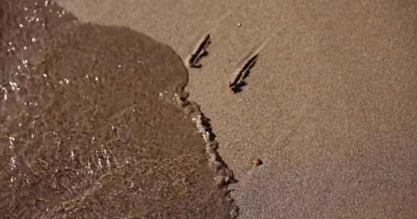 Trauriges Emoticon Auf Sand Gezeichnet Wird Mit Wellen Weggespült Konzept — Stockvideo