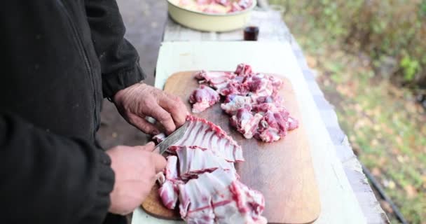 Turista Corta Pedazo Carne Costilla Con Cuchillo Cocinar Naturaleza Cortar — Vídeos de Stock