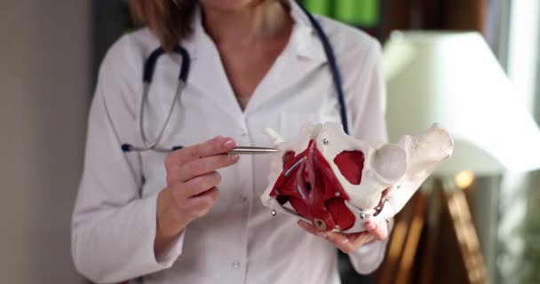 婦人科医は女性の骨盤閉鎖の骨を示しています 骨盤底および婦人科疾患の筋肉の強化 — ストック動画