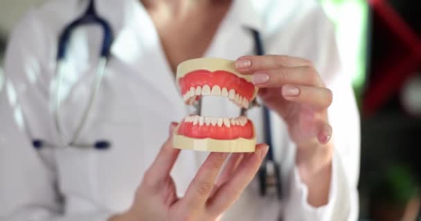 歯医者の手の中に歯茎と白いさえ歯を持つ人工顎 ベンダーや入れ歯の歯と取り付け — ストック動画