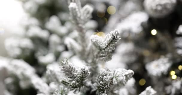 Árvore Natal Com Luzes Natal Ano Novo Fundo Natal — Vídeo de Stock