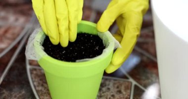 Closeup of gloved female hands chopping and raking earth in flowerpot. Preparing soil for transplanting flowers