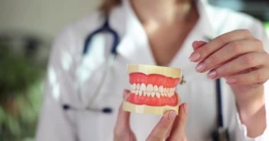 Dentist shows problem areas of teeth on artificial jaw closeup. Beautiful healthy teeth and veneer installation