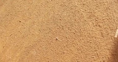 Tiny wood particles blow on wooden surface. Vacuum cleaner sucks up chips and sawdust scattered on the carpentry workbench