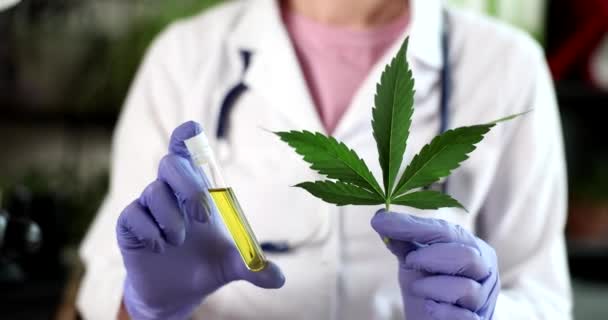 Doctor Holding Cannabis Leaf Marijuana Oil Laboratory Closeup Movie Slow — Stock Video