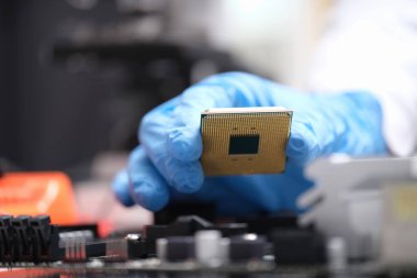 Technician puts processor on computer motherboard socket. Computer chip board and installation