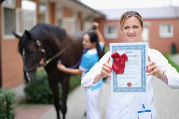 Woman veterinarian holds medical certificate for horse. Medical examination of sports purebred horses