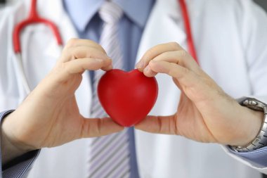 Doctor cardiologist holding heart in cardiology clinic. Heart disease and symptoms concept