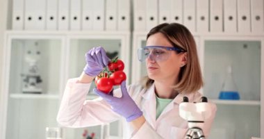 Female scientist examines tomatoes for gmo food in laboratory. Study of presence of nitrates in food