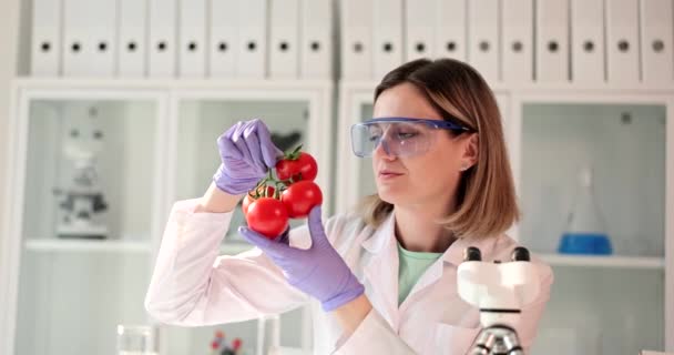 Female Scientist Examines Tomatoes Gmo Food Laboratory Study Presence Nitrates — Stock videók