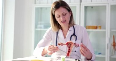 Doctor gynecologist showing diseases on artificial model of human uterus and ovaries in clinic 4k movie. Diagnosis of diseases of reproductive system of women concept