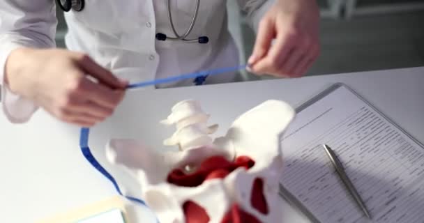 医師産科婦人科医は センチメートルテープ4Kムービーを使用して人工人間モデル上の女性骨盤のサイズを測定する方法を示しています 女性の概念の小さな骨盤の解剖学的交換 — ストック動画