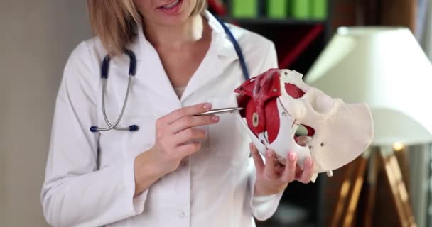 Гінеколог Показує Анатомію Розташування Тазу Язами Доктор Демонструє Людські Тазові — стокове відео