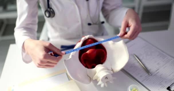 Jinekolog Leğen Kemiğinin Boyutlarını Leğen Kemiğinin Çapraz Boyutlarını Ölçer Anatomik — Stok video