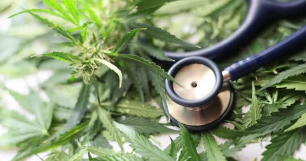 Medical Stethoscope Lying Green Leaves Marijuana Closeup Movie Slow Motion — Vídeo de stock