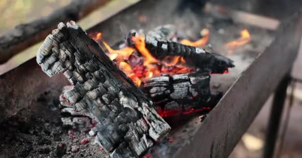 연기가 그들을 화덕에 땔나무를 태우고 고기를 요리하기 석탄을 얻는다 — 비디오