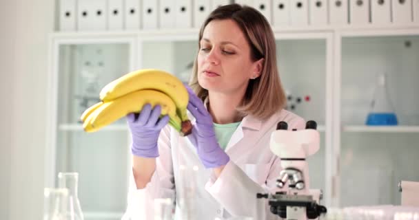 博士科学者はバナナを保持し 慎重に研究室で調べます バナナの化学分析 — ストック動画