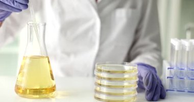 Sarı sıvı yağ pipetten petri kabına sızar. Laboratuvarda doğal yağlar gerekli ve kozmetik yağlar ve kalite kontrolü