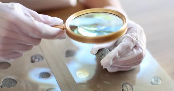 Numizmatyk Rękawiczkach Bada Kolekcję Gruzińskich Monet Przez Lupę Zbieranie Wycena — Wideo stockowe