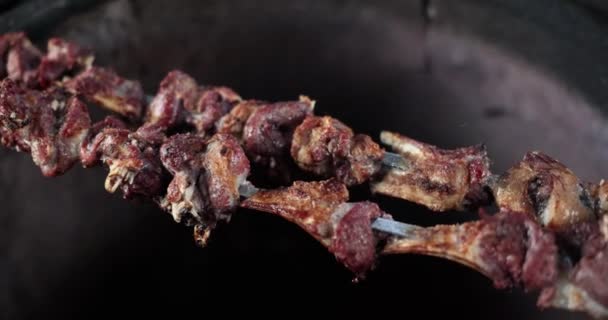 Barbecue Lamb Ribs Cooking Outdoors Grilled Meat Grilled Meat Skewers — Wideo stockowe