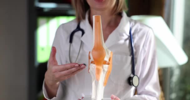 外傷科医は膝関節のモデルの領域を指摘しました 医学的 整形外科的概念 — ストック動画