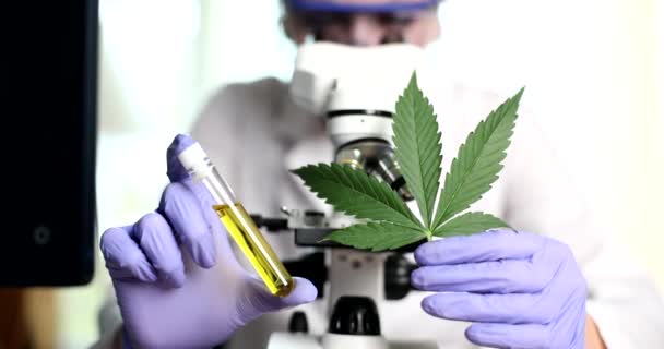 Forskare Undersöker Läkande Egenskaper Hos Marijuanaolja Mikroskop Ett Laboratorium Medicinsk — Stockvideo