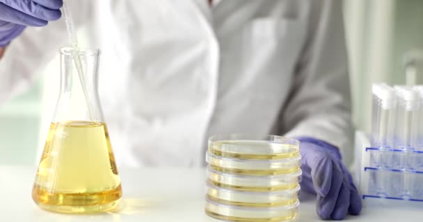黄色の液体油は ピペットからペトリ皿の閉鎖に落ちる 研究室でエッセンシャルオイルと化粧品油と品質管理 — ストック動画