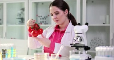 Scientist carefully examines toxic tomatoes in laboratory. Nitrates in vegetables