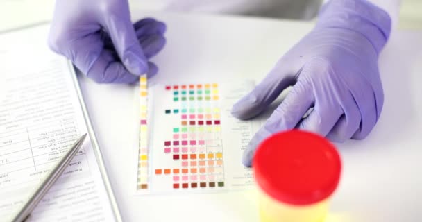 Doctor Makes Express Urine Test Laboratory Urine Analysis Color Test — Stockvideo