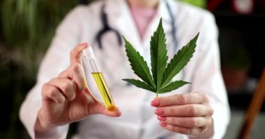 Scientist hand holds test tube of cbd biological and ecological vegetable cbd pharmaceutical oil. Herbal alternative medicine and pharmaceutical industry concept