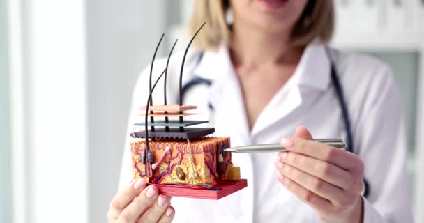 Dermatologist Holds Pen Anatomical Model Human Skin Hair Woman Doctor — Vídeo de stock