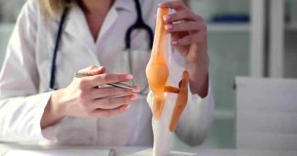 Fisioterapeuta Traumatólogo Sostiene Modelo Anatómico Articulación Rodilla Humana Pluma Las — Vídeo de stock