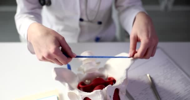 医師は骨盤の寸法と骨盤の横方向の寸法を測定します 妊娠出産の狭い骨盤の特徴 — ストック動画