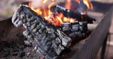 Burning wood firewood burning in grill. Wood burning food and firewood burning for barbecue