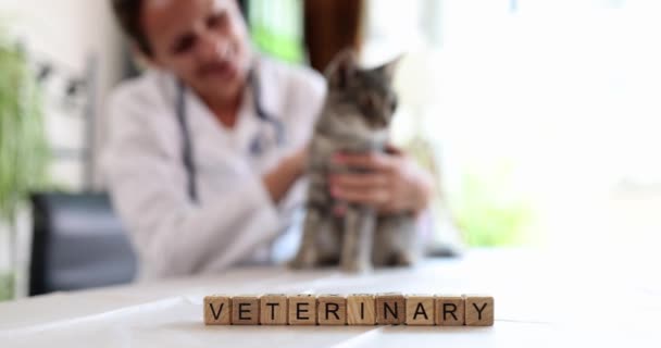 Veterinarian Strokes Cat Table Veterinary Clinic Pet Healthcare Medical Services — Vídeo de Stock