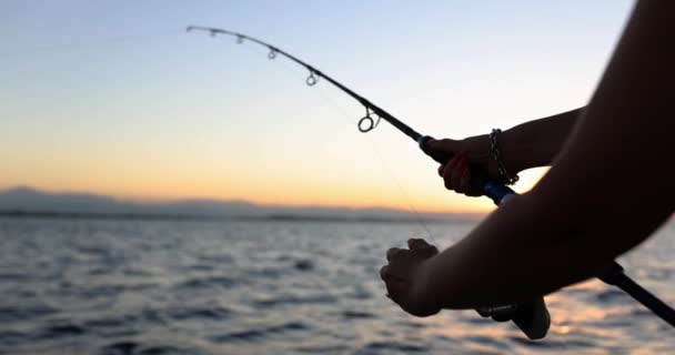 Hands Woman Holding Fishing Rod Hands Sea Sunset Woman Tourist — Wideo stockowe