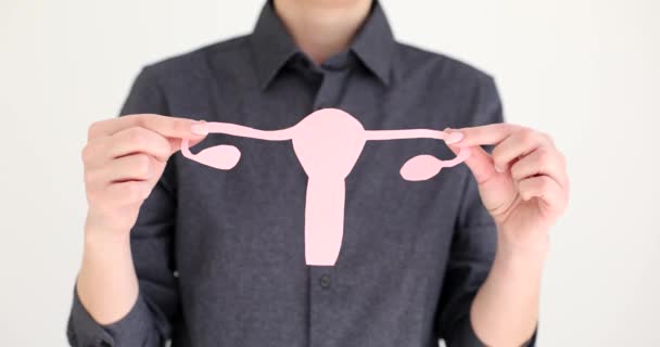 Матка Яичники Сделанные Бумаги Руках Женщины Символ Женского Здоровья Репродуктивное — стоковое видео