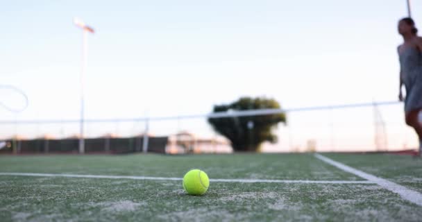 Der Gelbe Tennisball Liegt Auf Einem Grünen Platz Flach Fokussiert — Stockvideo