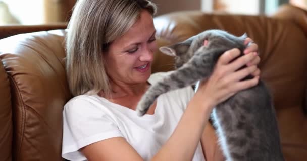 Happy Woman Home Couch Plays Gray Kitten Slowmotion Closeup Pet — Stock Video