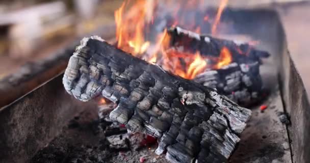 Makro Červený Plamen Černého Uhlí Oheň Pálení Dřevěných Klád Popel — Stock video