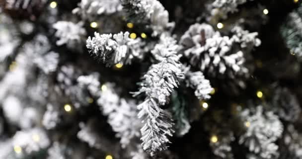 Ramos Pinho Geada Nevada Close Lâmpadas Espumantes Uma Árvore Natal — Vídeo de Stock