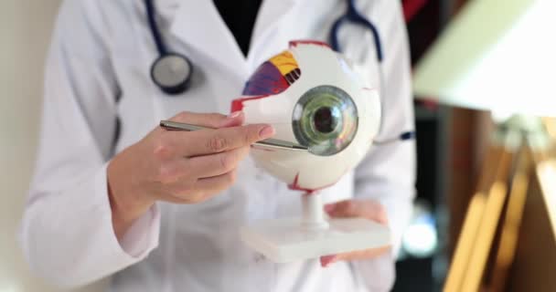 Doktor Göz Doktoru Insan Gözünün Yapay Modeli Üzerinde Hastalıklar Gösteriyor — Stok video